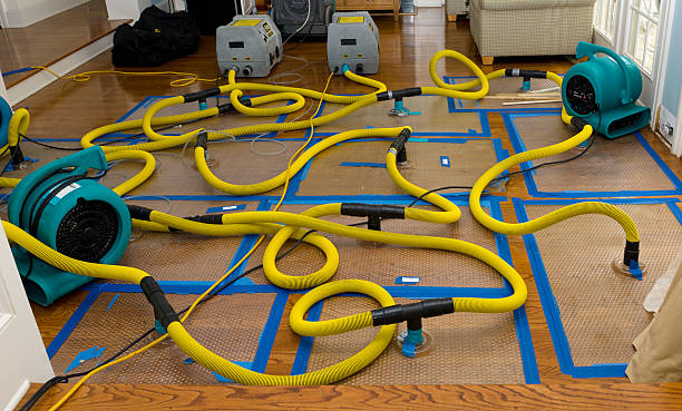 Professional Water Damage Repair technician working in Lucama, NC